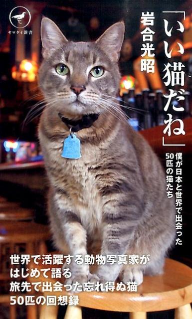 いい猫だね 僕が日本と世界で出会った50匹の猫たち （ヤマケイ新書） [ 岩合光昭 ]