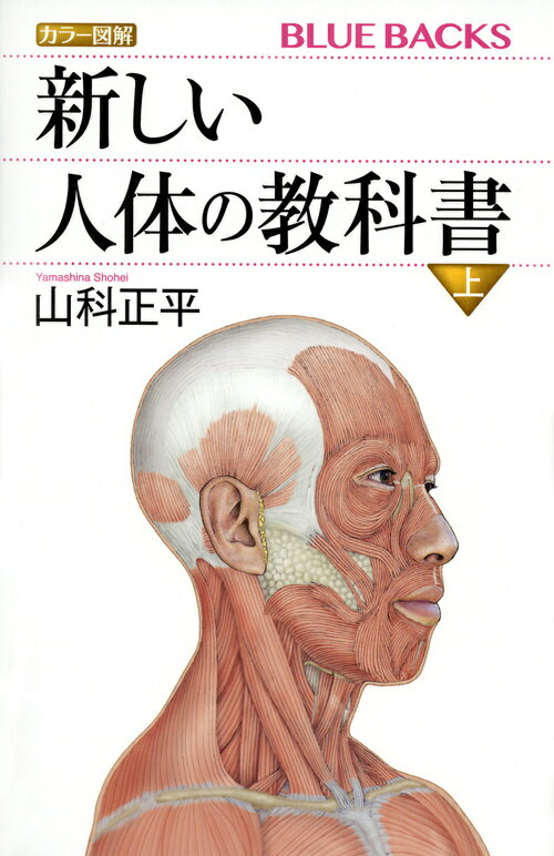 ブルーバックス 山科 正平 講談社BKSCPN_【bookーfestivalーthr】 カラーズカイアタラシイジンタイノキョウカショジョウ ヤマシナ ショウヘイ 発行年月：2017年04月19日 予約締切日：2017年04月18日 ページ数：360p サイズ：新書 ISBN：9784065020135 山科正平（ヤマシナショウヘイ） 北里大学名誉教授。1941年北海道生まれ。東京医科歯科大学医学部卒業後、同大学難治疾患研究所、京都大学助教授を経て、1981年より北里大学医学部教授として、解剖学教室を主宰。研究領域は顕微解剖学。電子顕微鏡、共焦点レーザー顕微鏡など多彩な顕微鏡法を駆使して、細胞分泌の機構、分泌器官の組織発生機構の解明にあたる。1994年、日本顕微鏡学会賞（瀬藤賞）受賞。日本顕微鏡学会会長の他、日本解剖学会、日本組織細胞化学会の運営にあたる（本データはこの書籍が刊行された当時に掲載されていたものです） 第1章　細胞と器官（人体を構成するもの）／第2章　骨格系／第3章　骨格筋系／第4章　循環器系／第5章　消化器系／第6章　呼吸器系 迫力のメディカルイラストで人体の構造と機能のすべてが分かる。圧倒的な迫力のメディカルイラストを多数収録。 本 美容・暮らし・健康・料理 健康 家庭の医学 新書 美容・暮らし・健康・料理 新書 科学・医学・技術