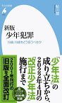 新版 少年犯罪（1013;1013） 18歳、19歳をどう扱うべきか （平凡社新書） [ 鮎川　潤 ]