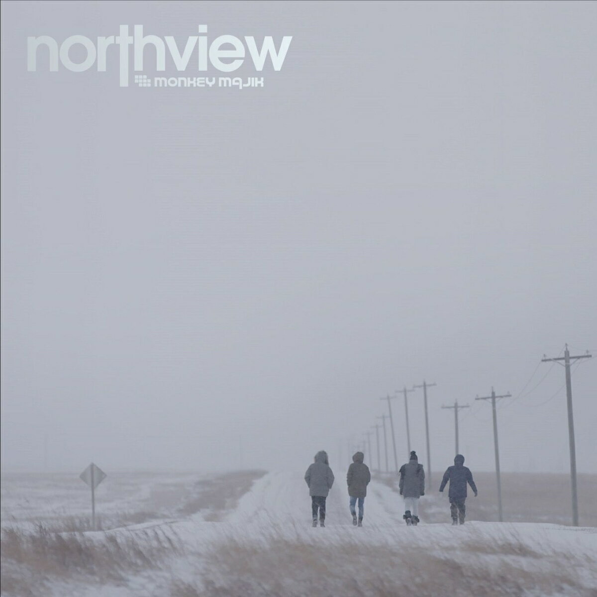 northview (初回限定盤 CD＋DVD) MONKEY MAJIK