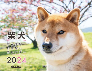 柴犬げんきなおはなしカレンダー（2024） （［カレンダー］）