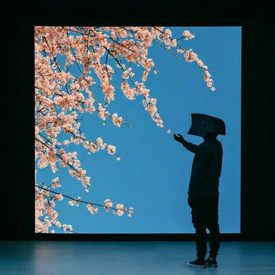 【輸入盤】Modern Life Is Lonely