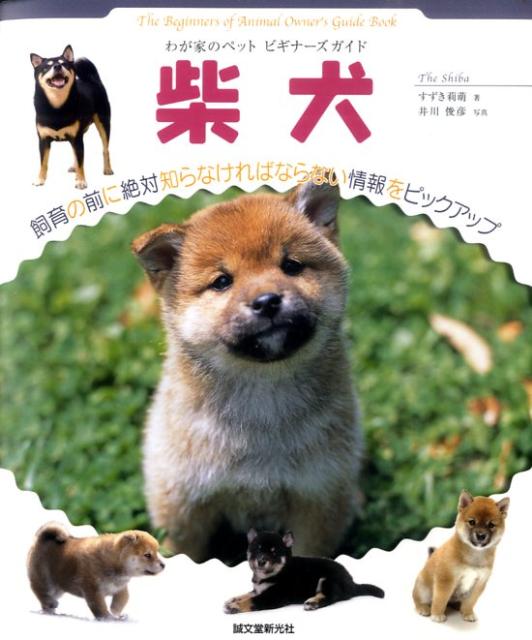柴犬
