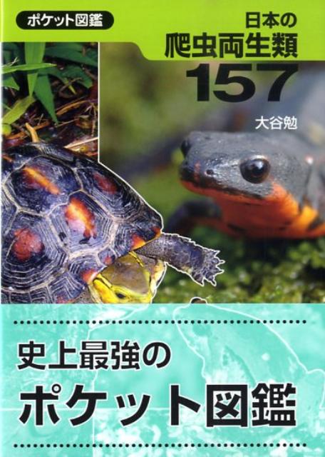 日本の爬虫両生類157 ポケット図鑑 [ 大谷勉 ]のサムネイル
