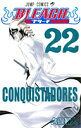 Bleach（22）