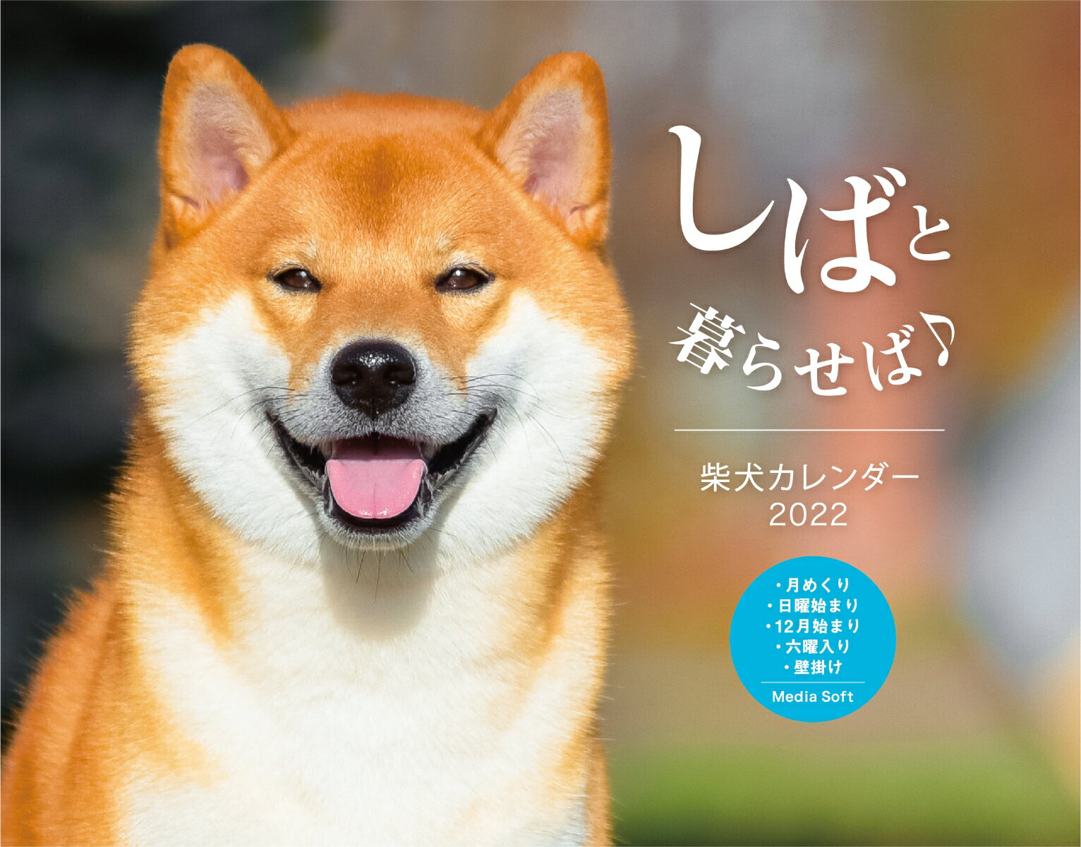 しばと暮らせば♪柴犬 カレンダー 2022のサムネイル