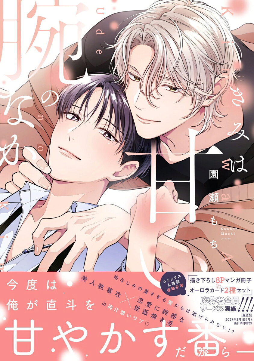 きみは甘い腕のなか の表紙