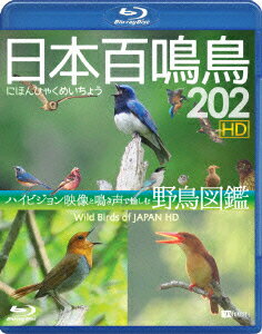 日本百鳴鳥 202 HDハイビジョン映像と鳴き声で愉しむ野鳥図鑑【Blu-ray】