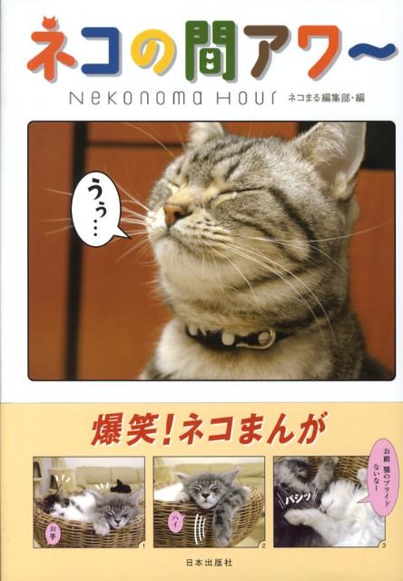 ネコの間アワ〜