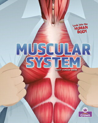 Muscular System MUSCULAR SYSTEM [ Tracy Vonder Brink ]