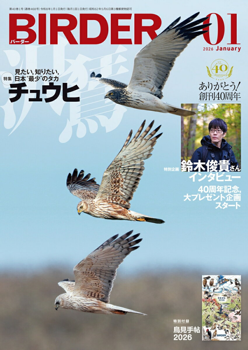 BIRDER (バーダー) 2026年 1月号 [雑誌]