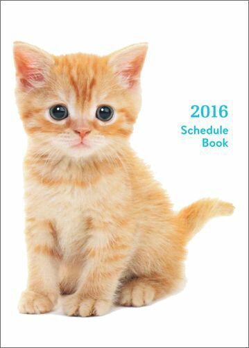 Schedule　Book　CAT（2016）