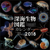 【壁掛】深海生物図鑑（2018カレンダー）