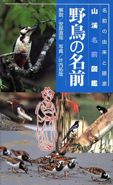 野鳥の名前