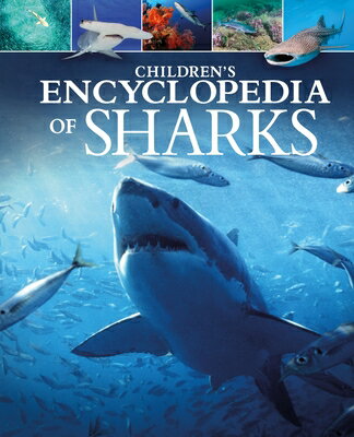 Children 039 s Encyclopedia of Sharks CHILDRENS ENCY OF SHARKS （Arcturus Children 039 s Reference Library） Claudia Martin