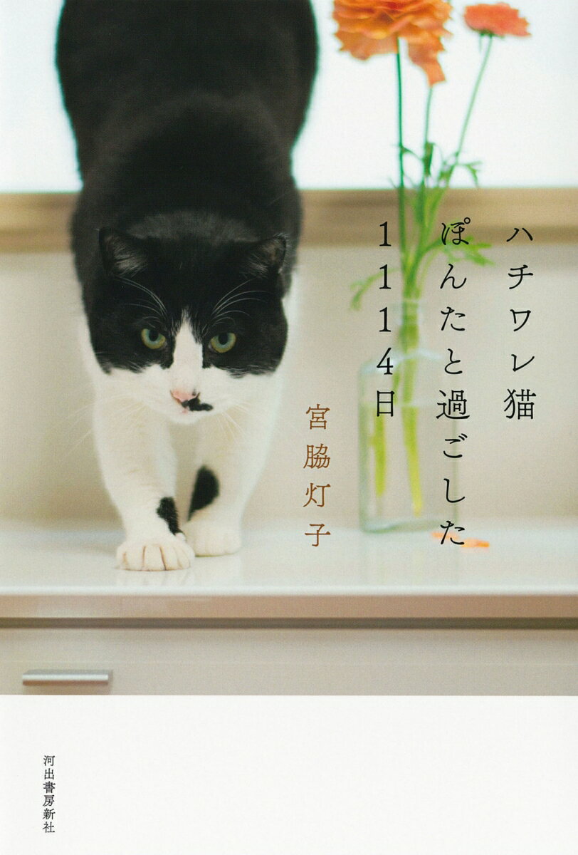 野良猫との出会いが、人を変えた。人との出会いが、野良猫を変えた。この出会いは、平凡だけれど奇跡的！ウェブサイト“ｓｉｐｐｏ”好評連載エッセイ「猫はニャーとは鳴かない」が単行本に。