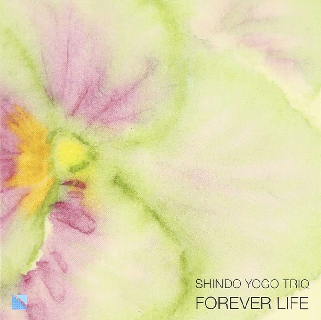 FOREVER LIFE [ 進藤陽悟TRIO ]