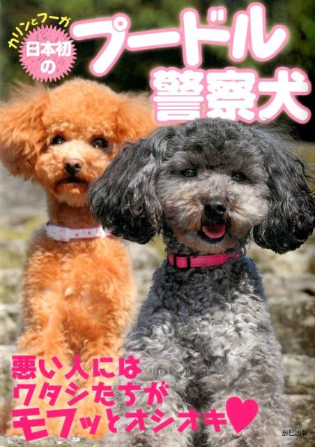 カリンとフーガ日本初のプードル警察犬