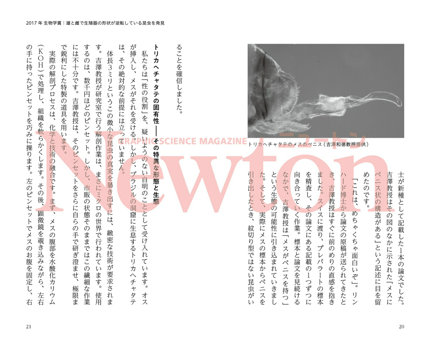 ニュートン＋新書 イグ・ノーベル賞の受賞者たち [ ニュートン編集部 ] 3
