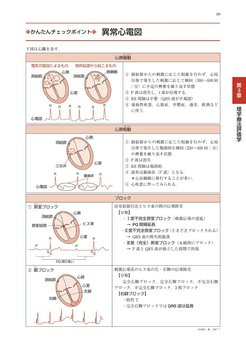 ������ˡ�Ρ������ˡ�ι�Ȼɬ���ݥ���� ����PT�� 2024 ����饤��ƥ����� [ ��������� ]