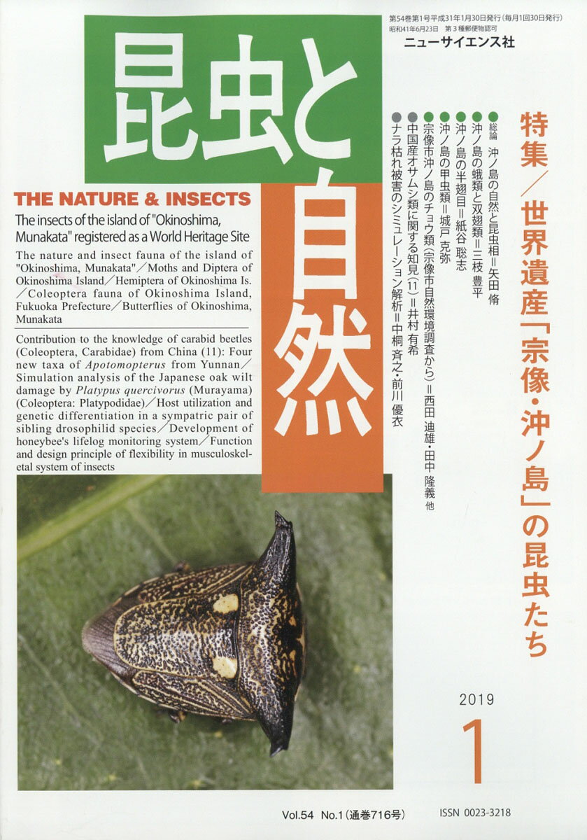 昆虫と自然 2019年 01月号 [雑誌]