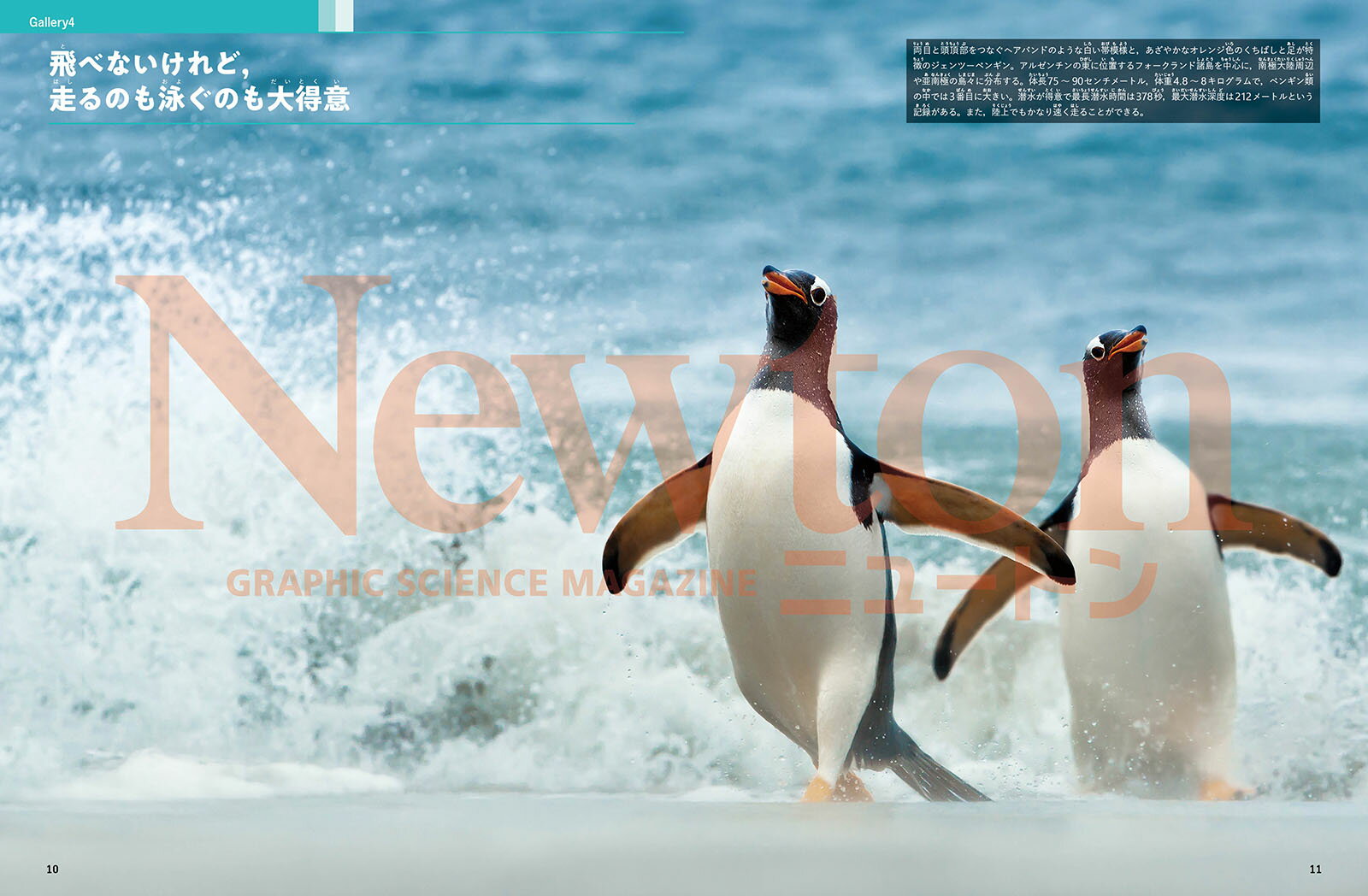 Newton別冊　鳥の科学 2
