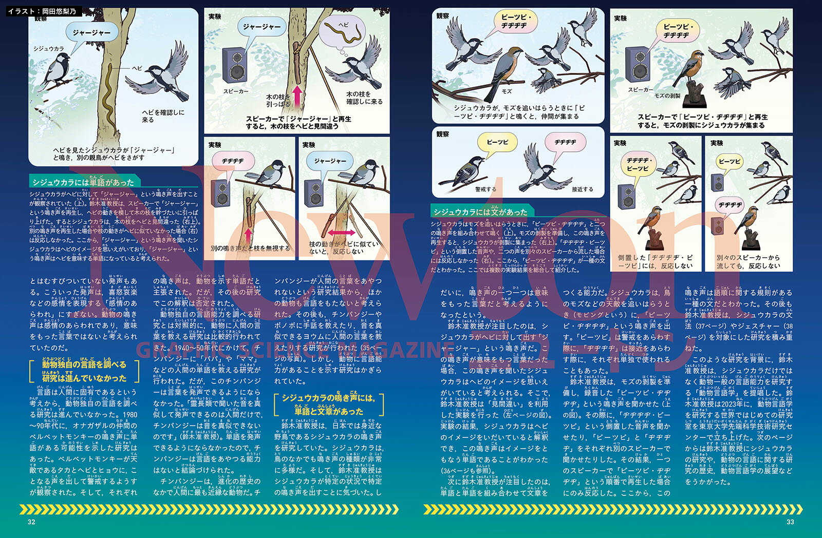 Newton別冊　鳥の科学 3