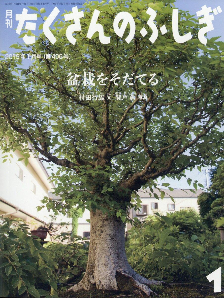 月刊 たくさんのふしぎ 2019年 01月号 [雑誌]