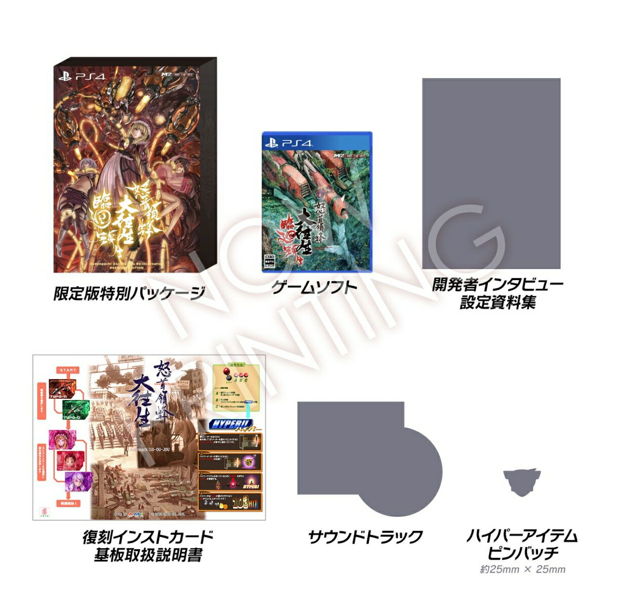 【特典】怒首領蜂大往生 臨廻転生 限定版 PS4版(【予約外付特典】怒首領蜂大往生攻略ガイドブック(仮称))