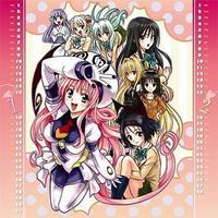  To LOVEるーとらぶるーコミックカレンダー 2009【75%OFF】