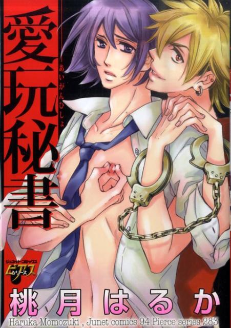 愛玩秘書 の表紙