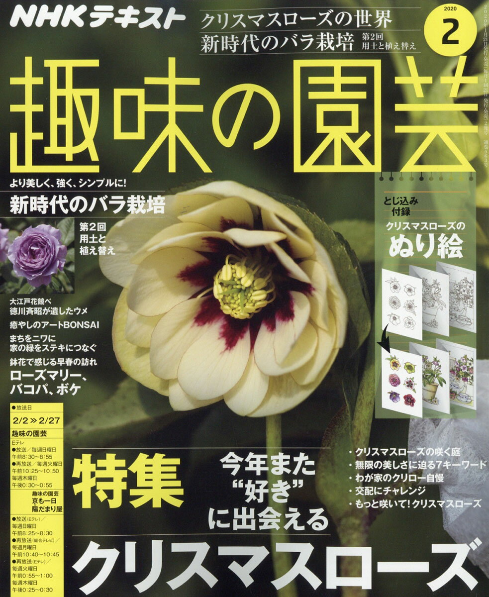 NHK 趣味の園芸 2020年 02月号 [雑誌]