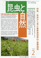 昆虫と自然 2020年 02月号 [雑誌]