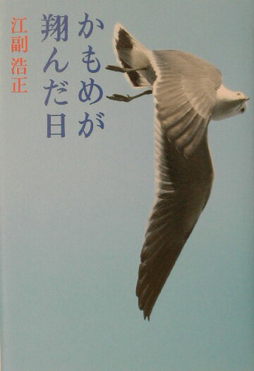 かもめが翔んだ日