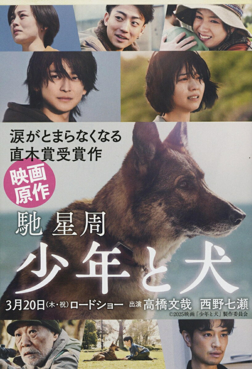【2025年3月20日　映画化！
　出演：高橋文哉、西野七瀬】

感涙の直木賞受賞作「少年と犬」

傷つき、悩み、惑う人びとに寄り添っていたのは、一匹の犬だったーー。

2011年秋、仙台。震災で職を失った和正は、認知症の母とその母を介護する姉の生活を支えようと、犯罪まがいの仕事をしていた。
ある日、和正は、コンビニで、ガリガリに痩せた野良犬を拾う。多聞という名らしいその犬は賢く、和正はすぐに魅了された。
その直後、和正はさらにギャラのいい窃盗団の運転手役の仕事を依頼され、金のために引き受けることに。そして多聞を同行させると仕事はうまくいき、多聞は和正の「守り神」になった。
だが、多聞はいつもなぜか南の方角に顔を向けていた。多聞は何を求め、どこに行こうとしているのか……

犬を愛するすべての人に捧げる涙の物語！