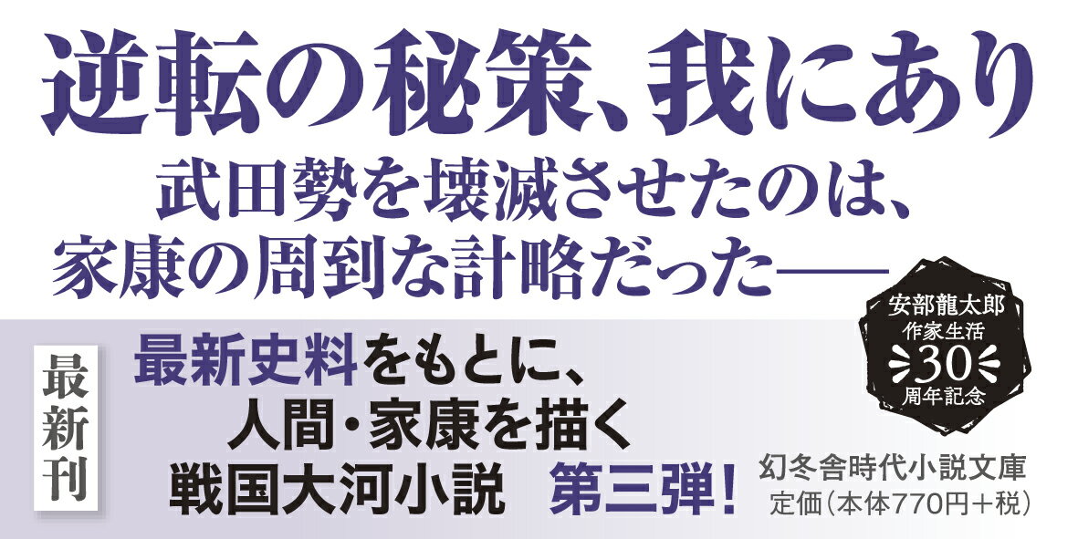 家康〈三〉長篠の戦い (幻冬舎時代小説文庫) ...の紹介画像2