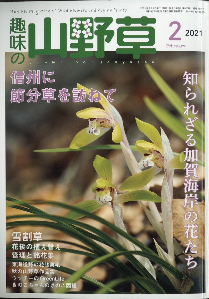 趣味の山野草 2021年 02月号 [雑誌]