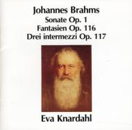 【輸入盤】Piano Works Vol.1: Knardahl [ ブラームス（1833-1897） ]