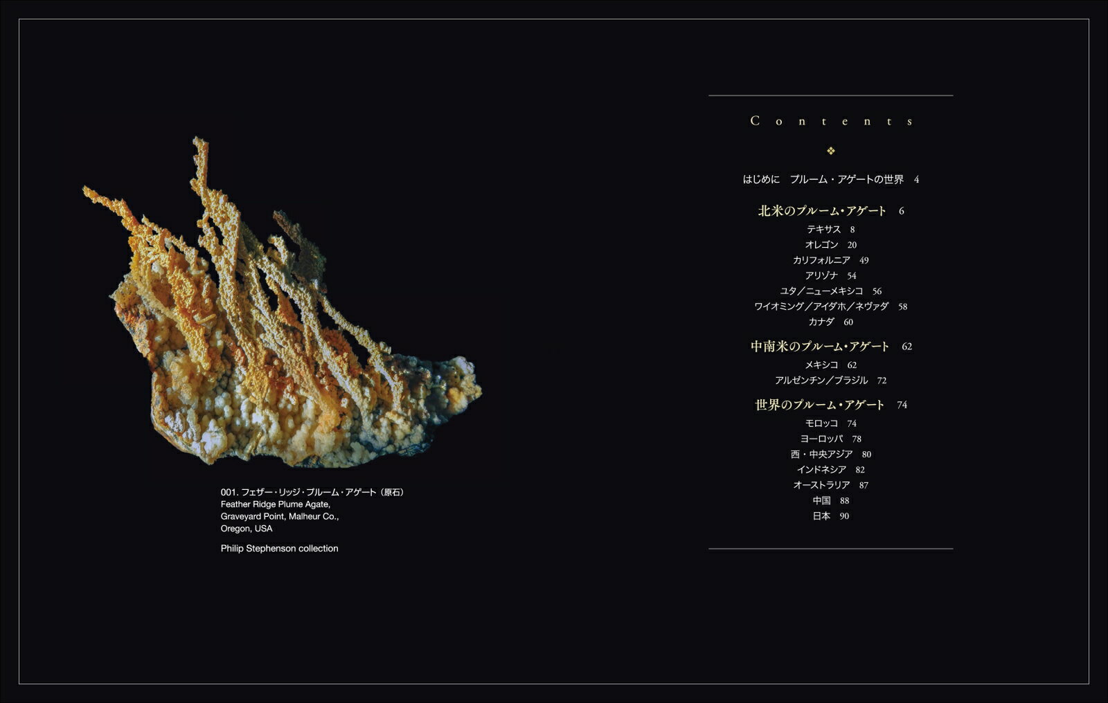 ��«���� �ץ롼�ࡦ�������� ���Ի׵ĤǴ�����Ф��ܡ� [ ���� �ѽ� ]