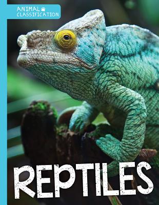 Reptiles REPTILES （Animal Classification） 