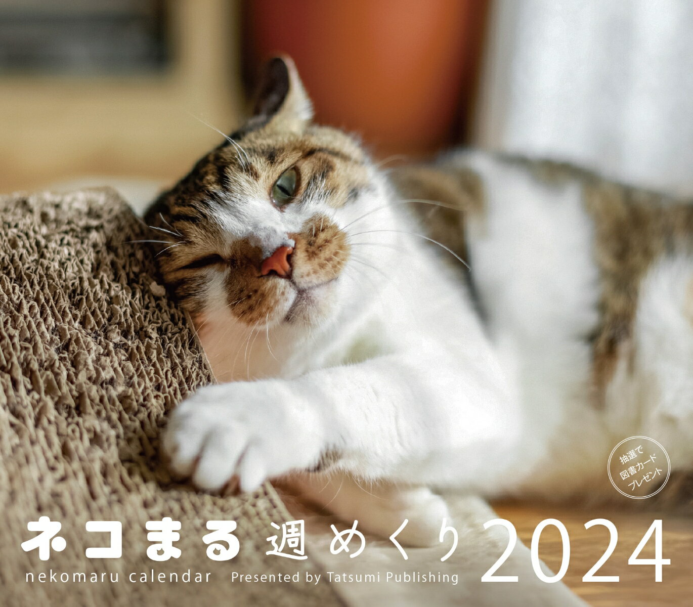 2024 カレンダー ネコまる週めくり [ ネコまる編集部 ]