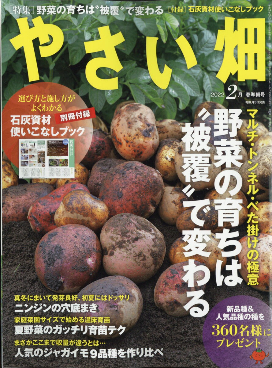 やさい畑 2022年 02月号 [雑誌]