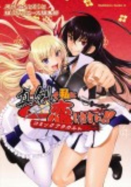真剣で私に恋しなさい！！コミックアラカルト
