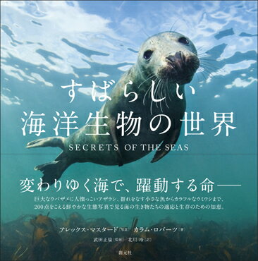 【謝恩価格本】すばらしい海洋生物の世界