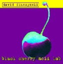 【輸入盤】Black Cherry Acid Lab [ David Fiuczynski ]