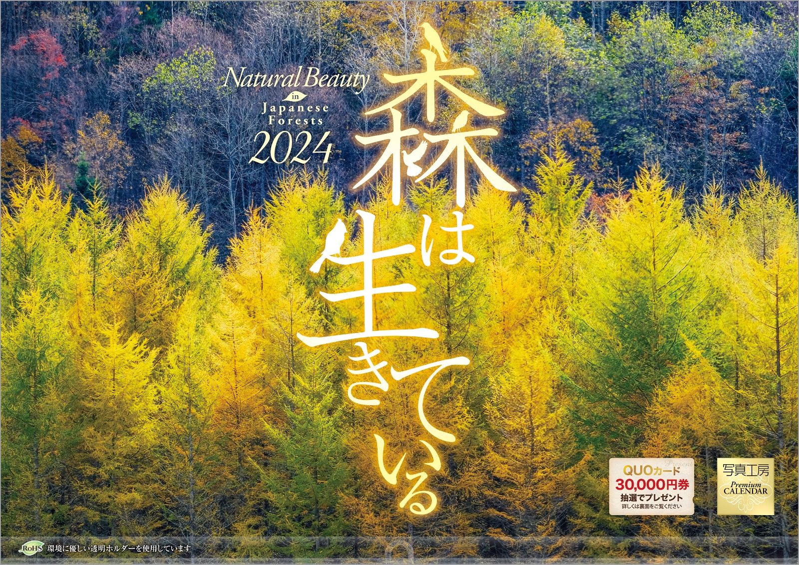 『森は生きている』 2024 カレンダー 壁掛け 風景 【420×297mm 透明ホルダー付】