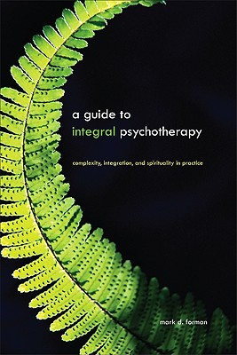 A Guide to Integral Psychotherapy: Complexity, Integration, and Spirituality in Practice GT INTEGRAL PSYCHOTHERAPY （Suny Integral Theory） 
