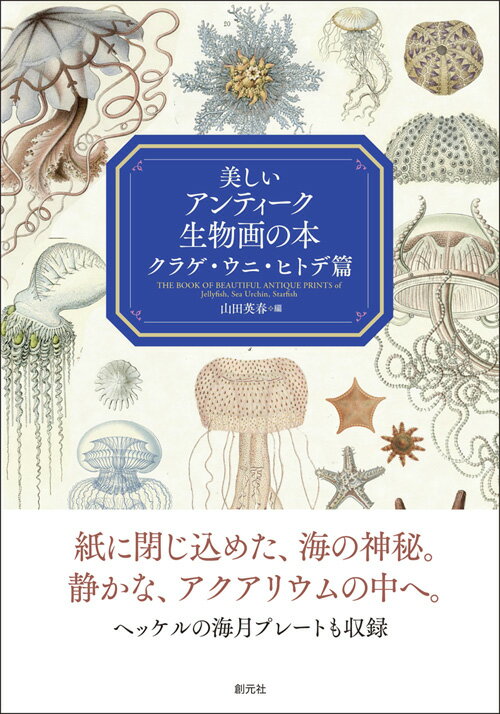 紙に閉じ込めた、海の神秘。静かな、アクアリウムの中へ。ヘッケルの海月プレートも収録。