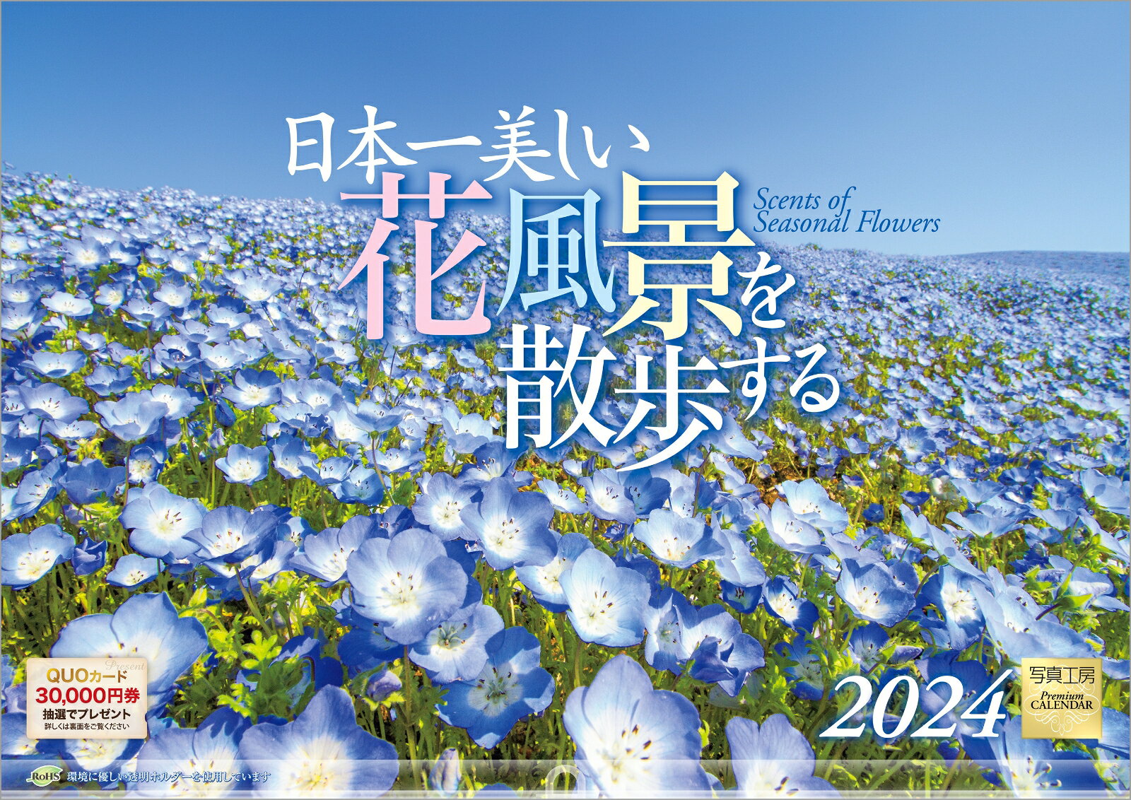『日本一美しい花風景を散歩する』 2024 カレンダー 壁掛け 風景 【420×297mm 透明ホルダー付】 （写真工房カレンダー）