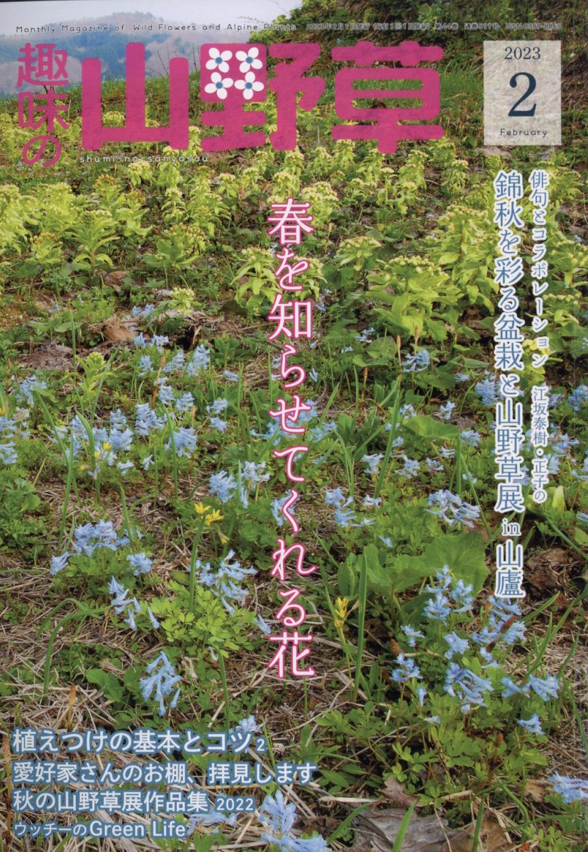 趣味の山野草 2023年 2月号 [雑誌]